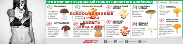 PSILOCYBIN Алзамай