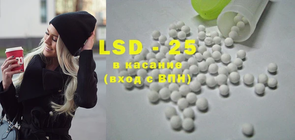 PSILOCYBIN Алзамай