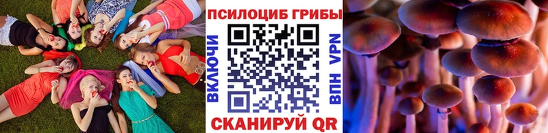 Псилоцибиновые грибы Psilocybe  Тавда 