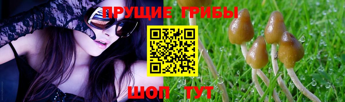 ГАШ  Канабис  COCAIN  Меф МЯУ МЯУ  Тавда  Вход с VPN  Мефедрон кристаллы  Конопля 